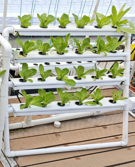 Hydroponic Nft Channel - MINI sistema hidropónico vertical de 24
