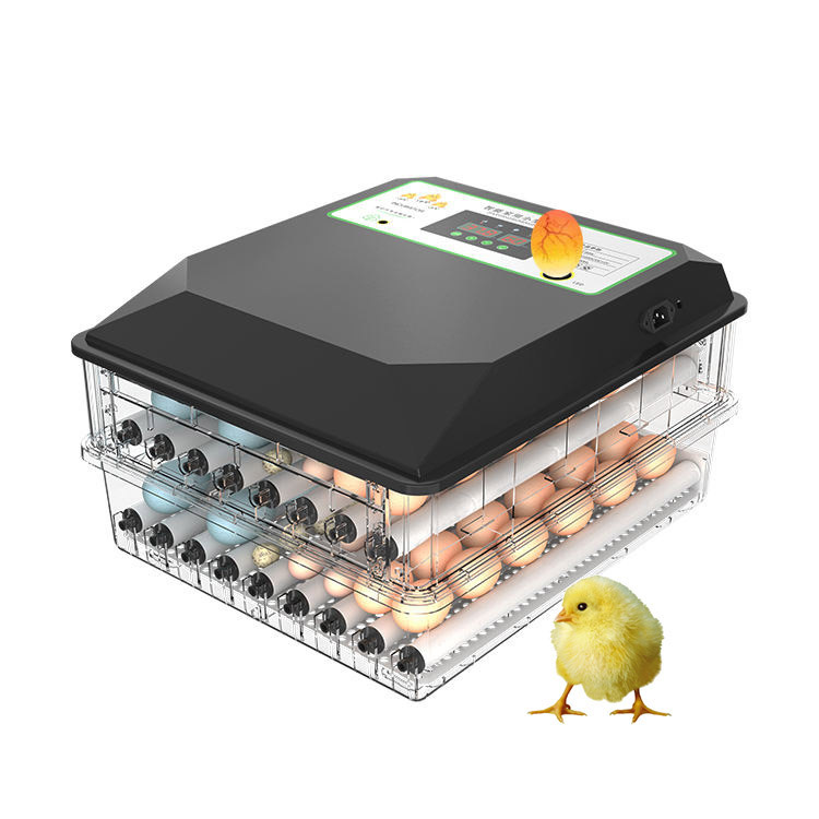 Poultry Incubator - Incubadora de Huevos Automática para Aves