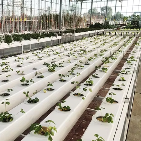 Hydroponic Nft Channel - Sistemas de Cultivo Hidropónico Comercial, Canales
