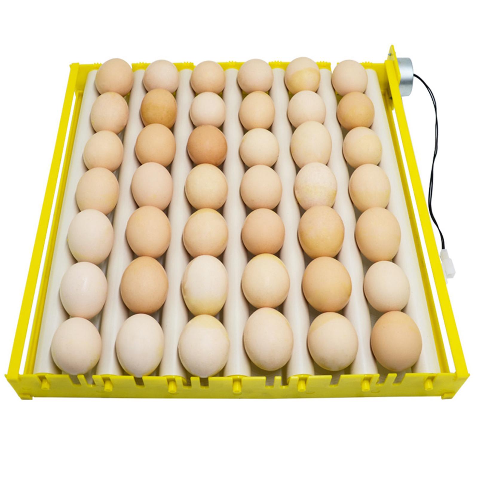 Poultry Incubator - Incubadora de Huevos, 12V Automática para