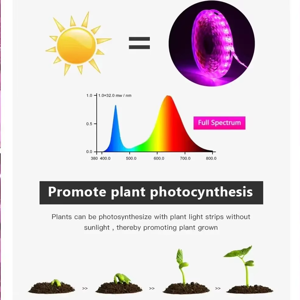 Luces de cultivo de plantas Le - Hydroponic Nft Channel reseña y precio