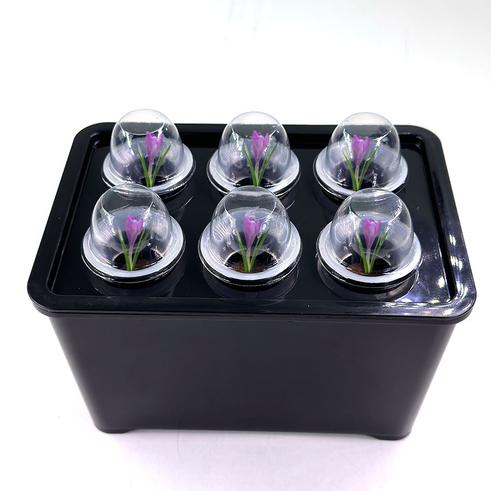 Sistema de cultivo hidropónico - Hydroponic Nft Channel reseña y precio