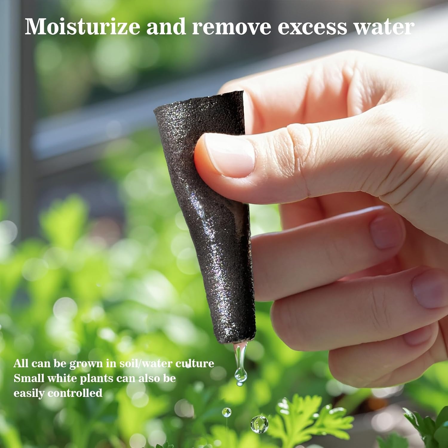 Esponjas de Germinación de Sem - Hydroponic Nft Channel reseña y precio