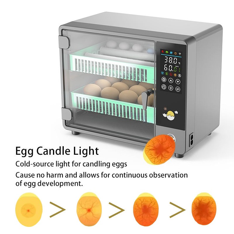 Incubadora de Huevos Totalment - Poultry Incubator reseña y precio