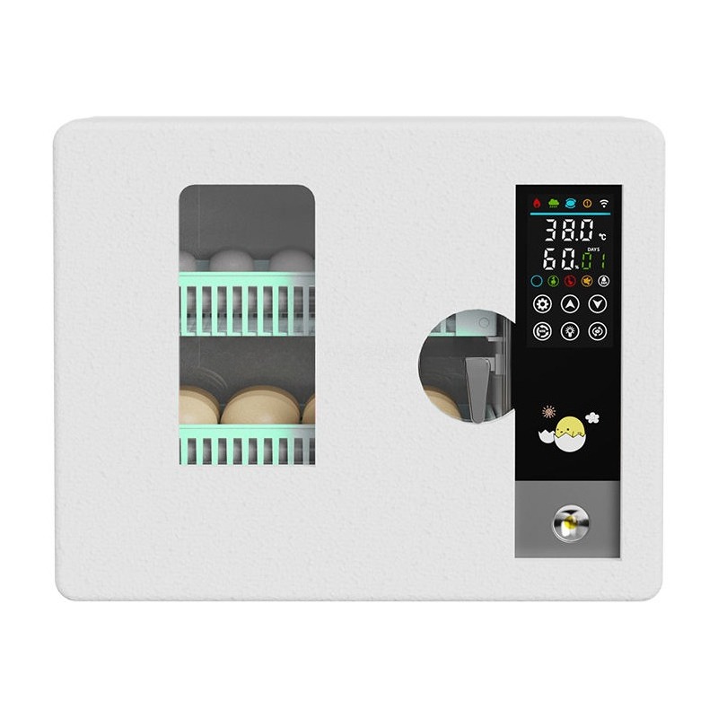 Incubadora de Huevos Totalment - Poultry Incubator reseña y precio