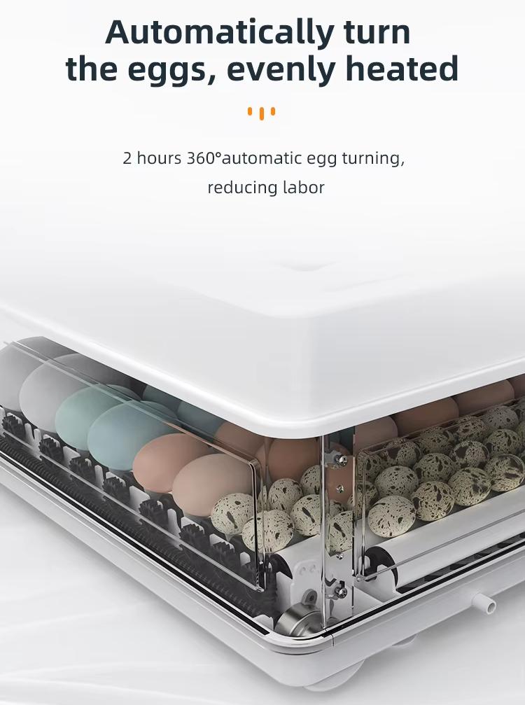 Incubadoras de Huevos Totalmen - Poultry Incubator reseña y precio