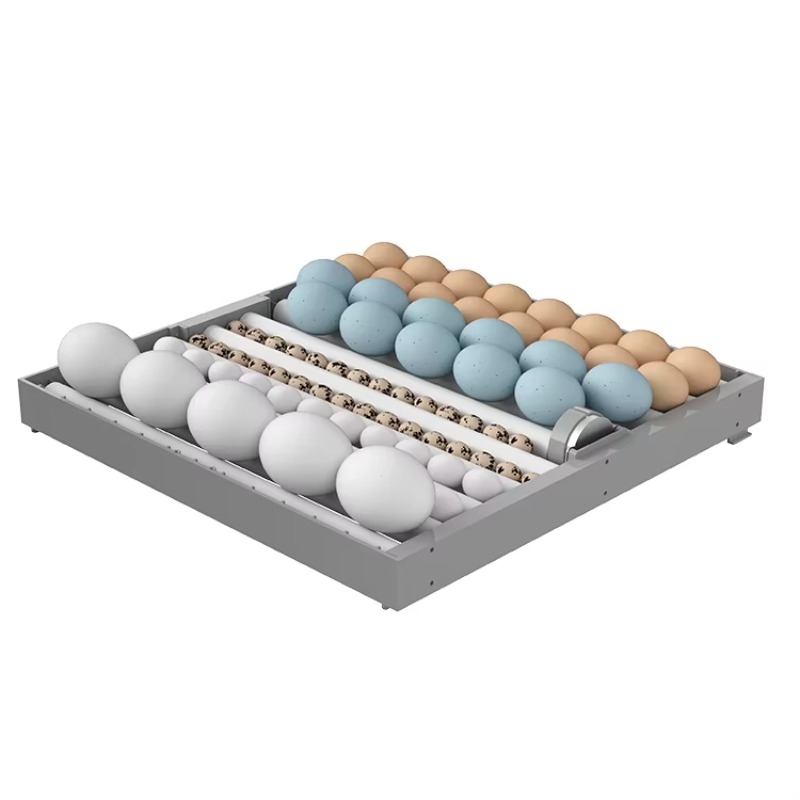 Incubadora Inteligente de 7 Ca - Poultry Incubator reseña y precio