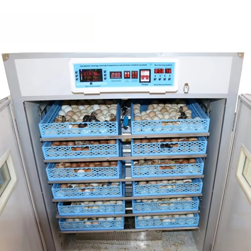 Incubadora Industrial de Huevo - Poultry Incubator reseña y precio