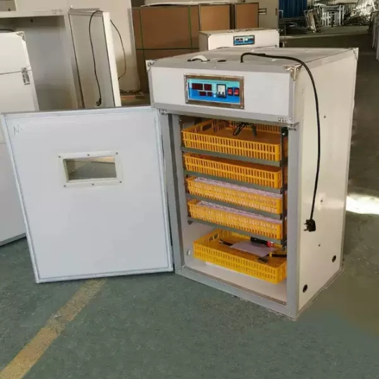 Incubadora de Huevos Grande pa - Poultry Incubator reseña y precio