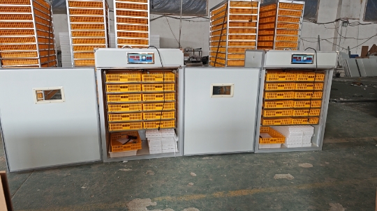 Incubadora de Huevos Grande pa - Poultry Incubator reseña y precio