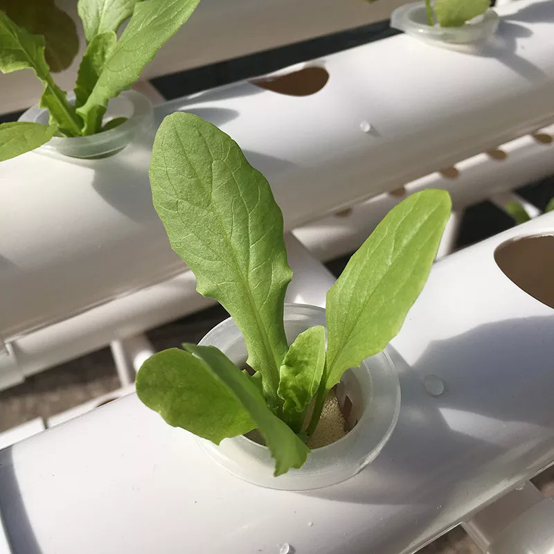 Sistema de Cultivo Hidropónico - Hydroponic Nft Channel reseña y precio