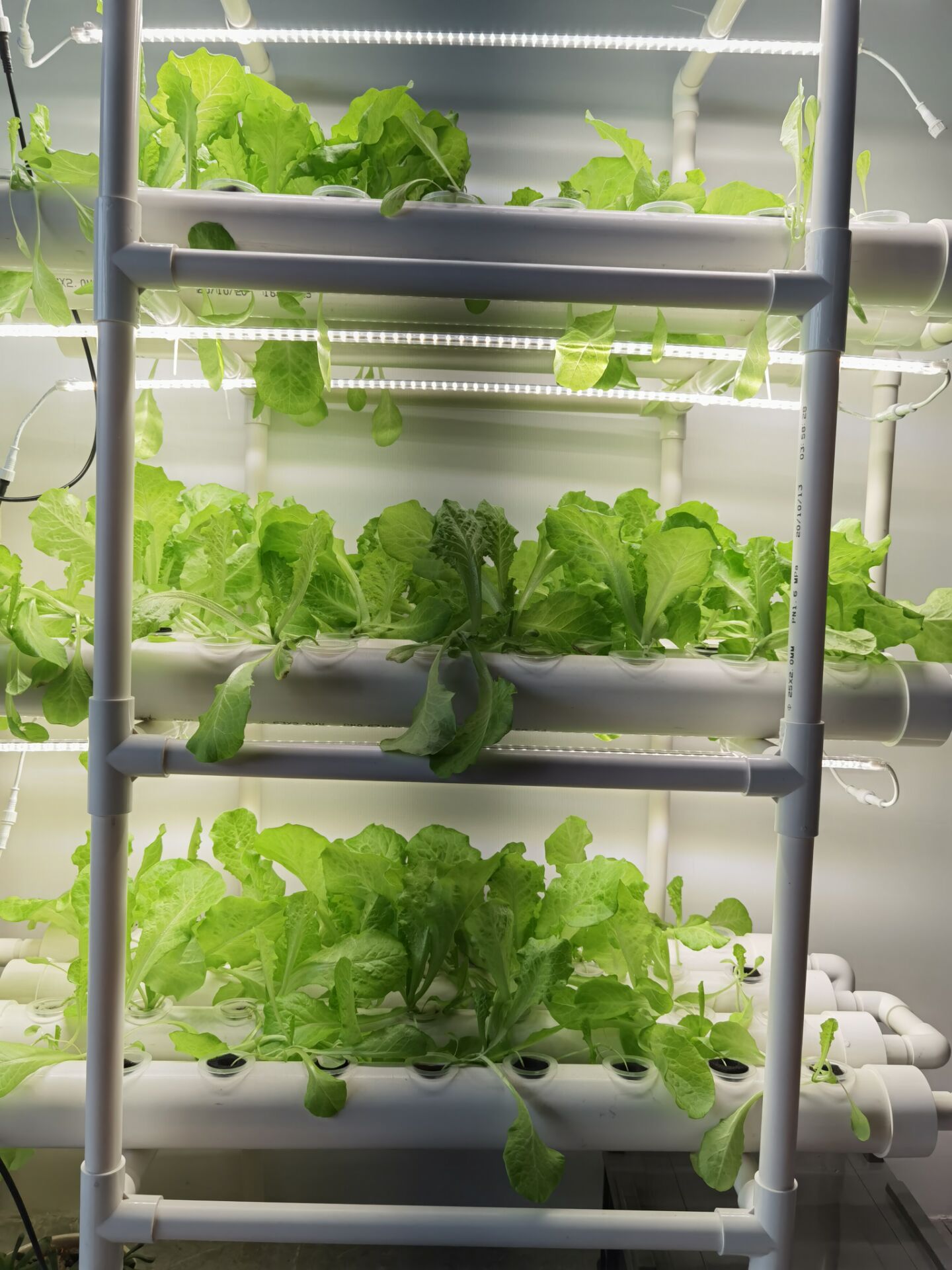 Sistema de Cultivo Hidropónico - Hydroponic Nft Channel reseña y precio