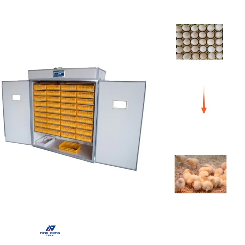Incubadora de Huevos de Aves d - Poultry Incubator reseña y precio