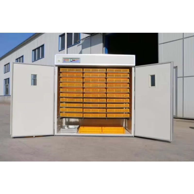 Incubadora de Huevos de Aves d - Poultry Incubator reseña y precio