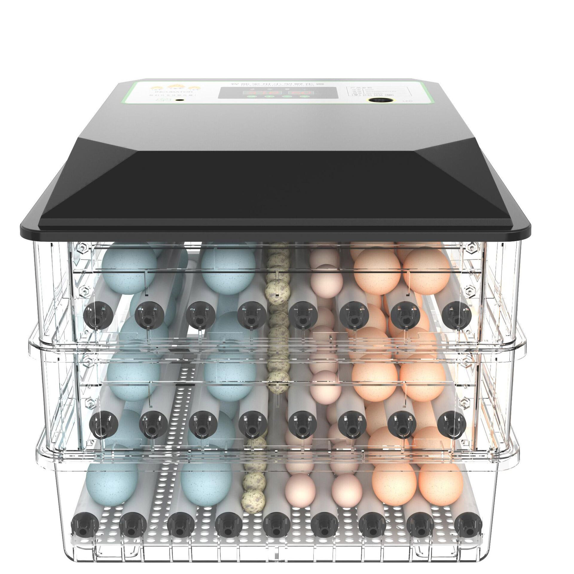 Incubadora de Huevos Automátic - Poultry Incubator reseña y precio