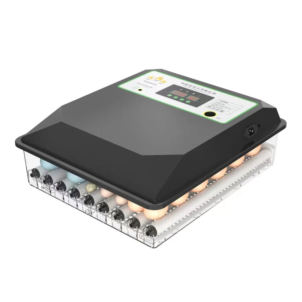 Incubadora de Huevos Automátic - Poultry Incubator reseña y precio