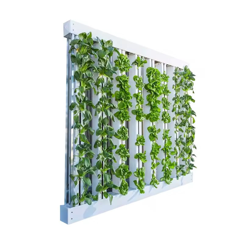 Sistema de Cultivo Hidropónico - Hydroponic Nft Channel reseña y precio