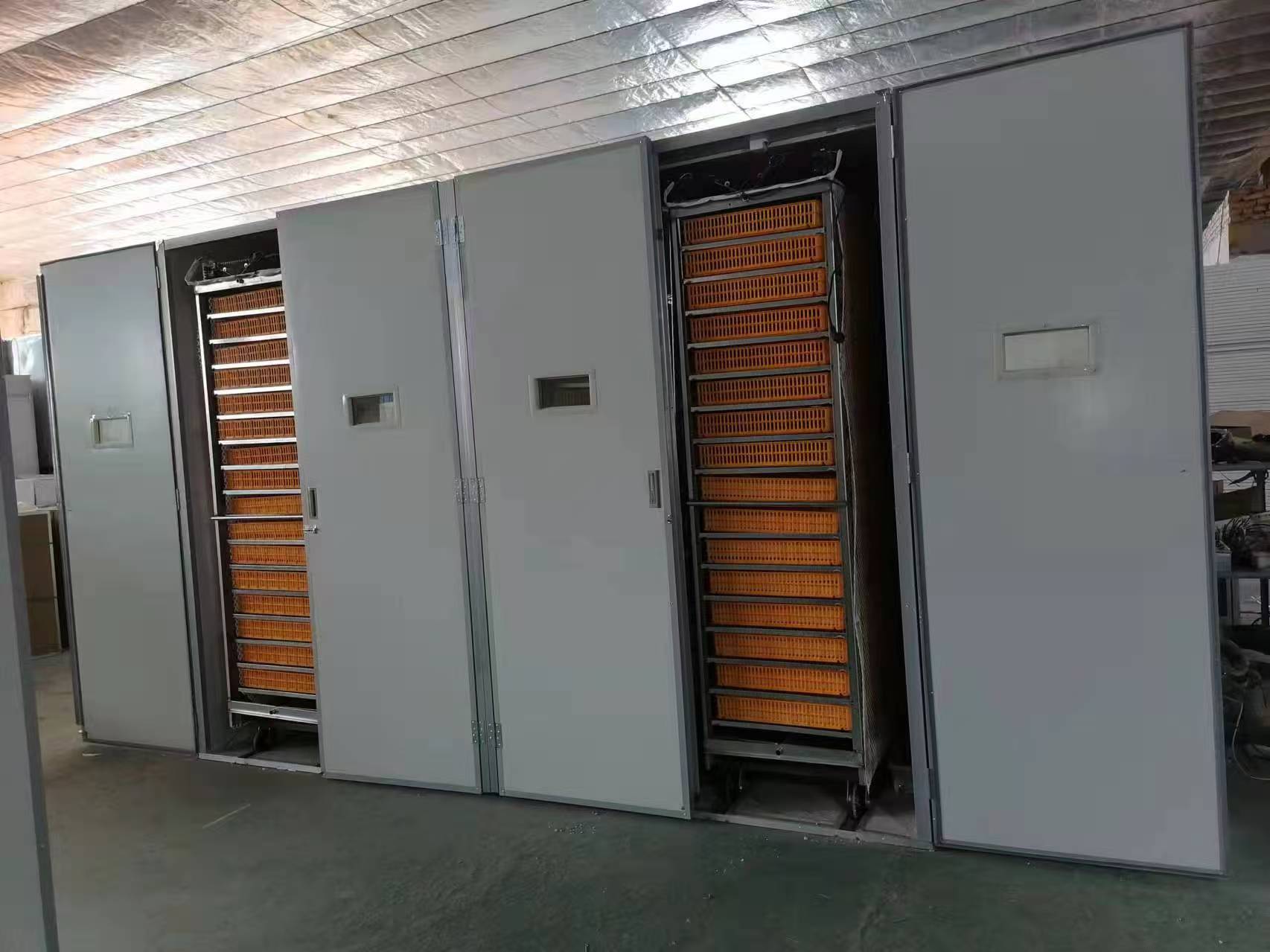 Equipo de Incubación de Aves d - Poultry Incubator reseña y precio