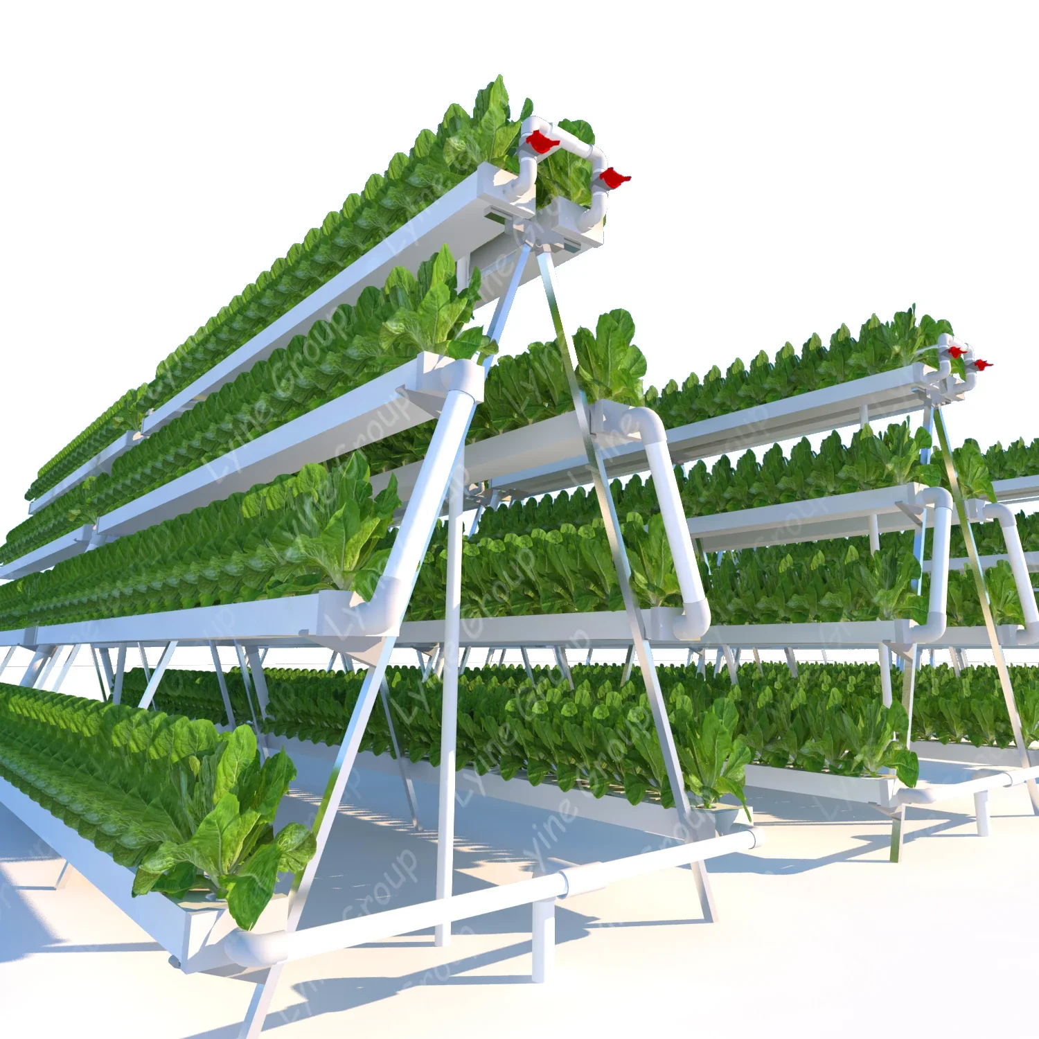Fabricación de productos Siste - Hydroponic Nft Channel reseña y precio