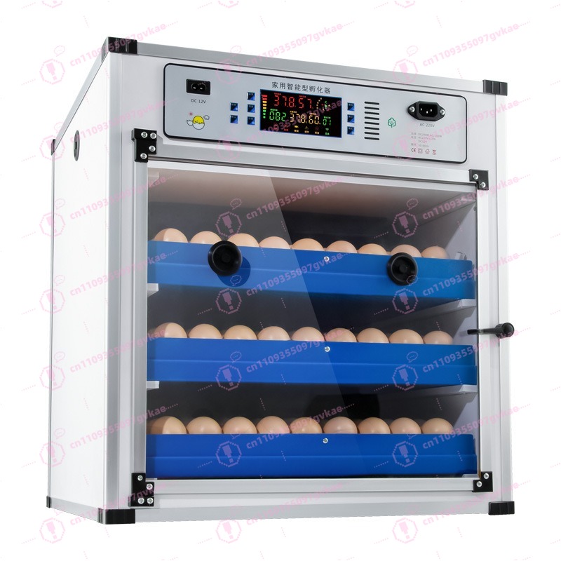 Incubadora de Huevos Portátil  - Poultry Incubator reseña y precio