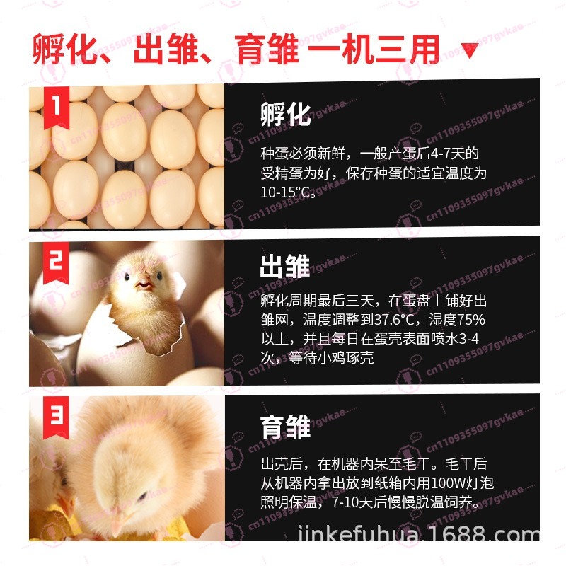 Incubadora de Huevos Portátil  - Poultry Incubator reseña y precio