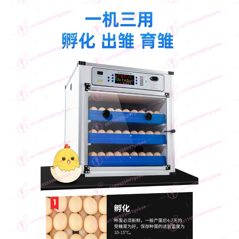 Incubadora de Huevos Portátil  - Poultry Incubator reseña y precio