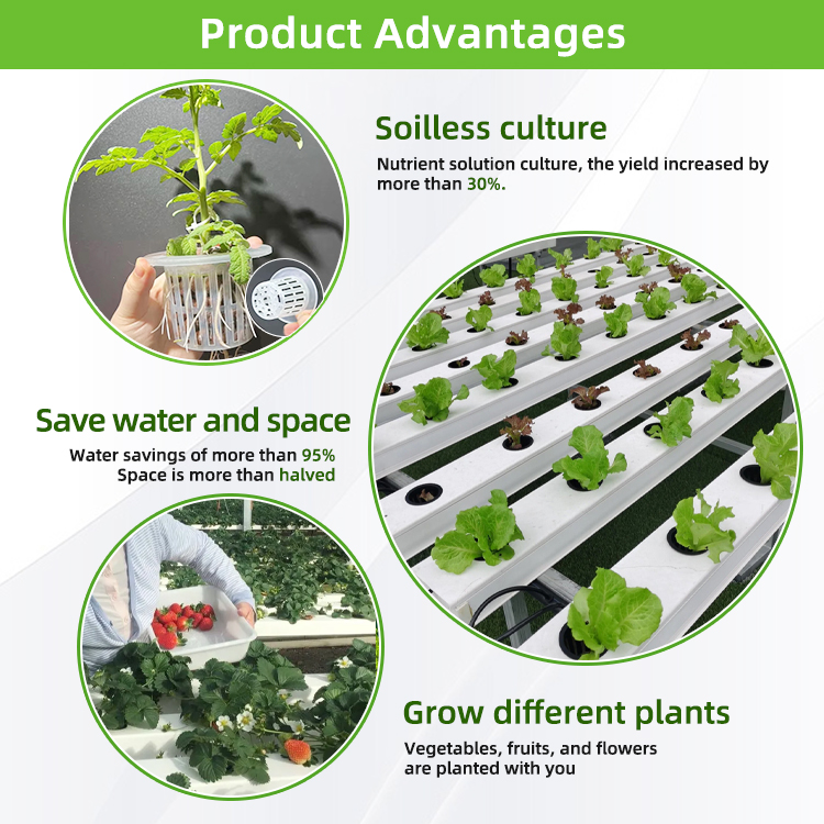 Nft Hydroponics Sistemas hidro - Hydroponic Nft Channel reseña y precio