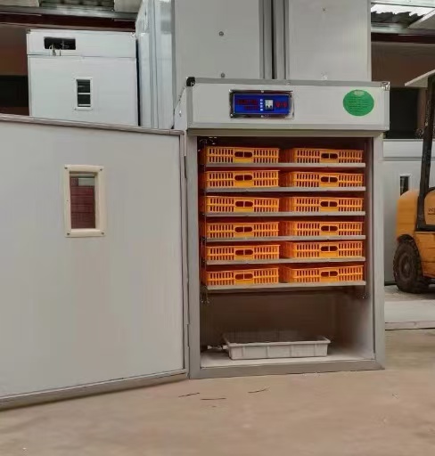 Incubadora Automática de Huevo - Poultry Incubator reseña y precio