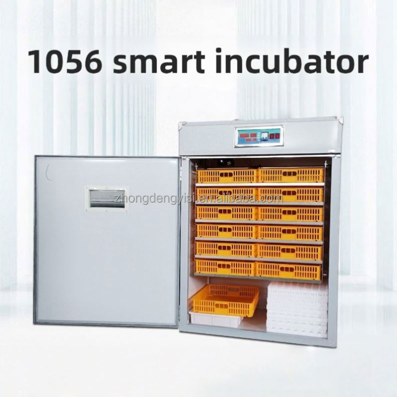 Incubadora de Huevos de Gran C - Poultry Incubator reseña y precio