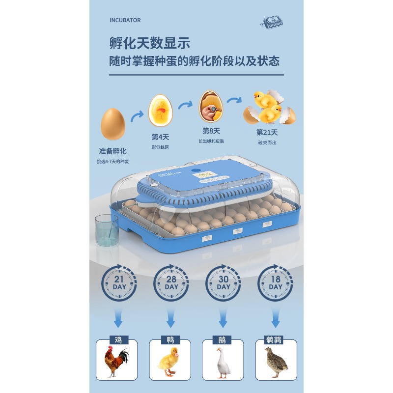 Incubadora automática de huevo - Poultry Incubator reseña y precio