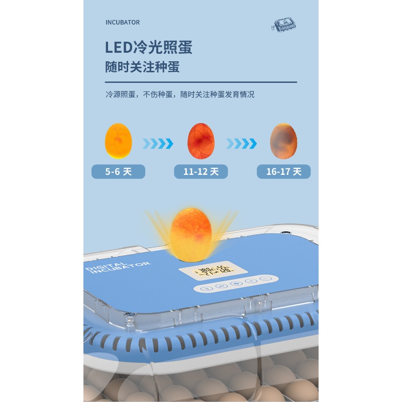 Incubadora automática de huevo - Poultry Incubator reseña y precio