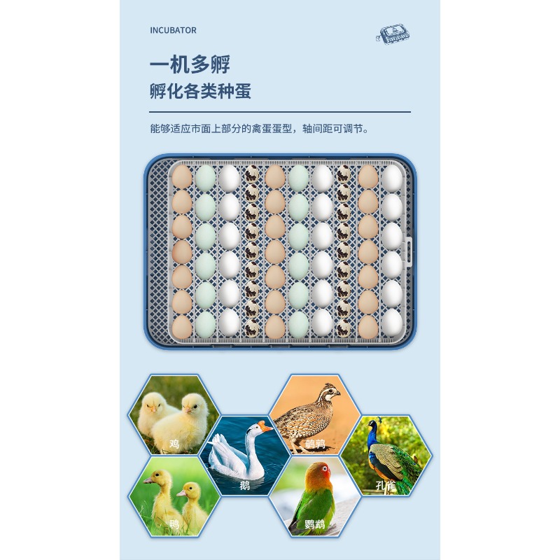 Incubadora automática de huevo - Poultry Incubator reseña y precio