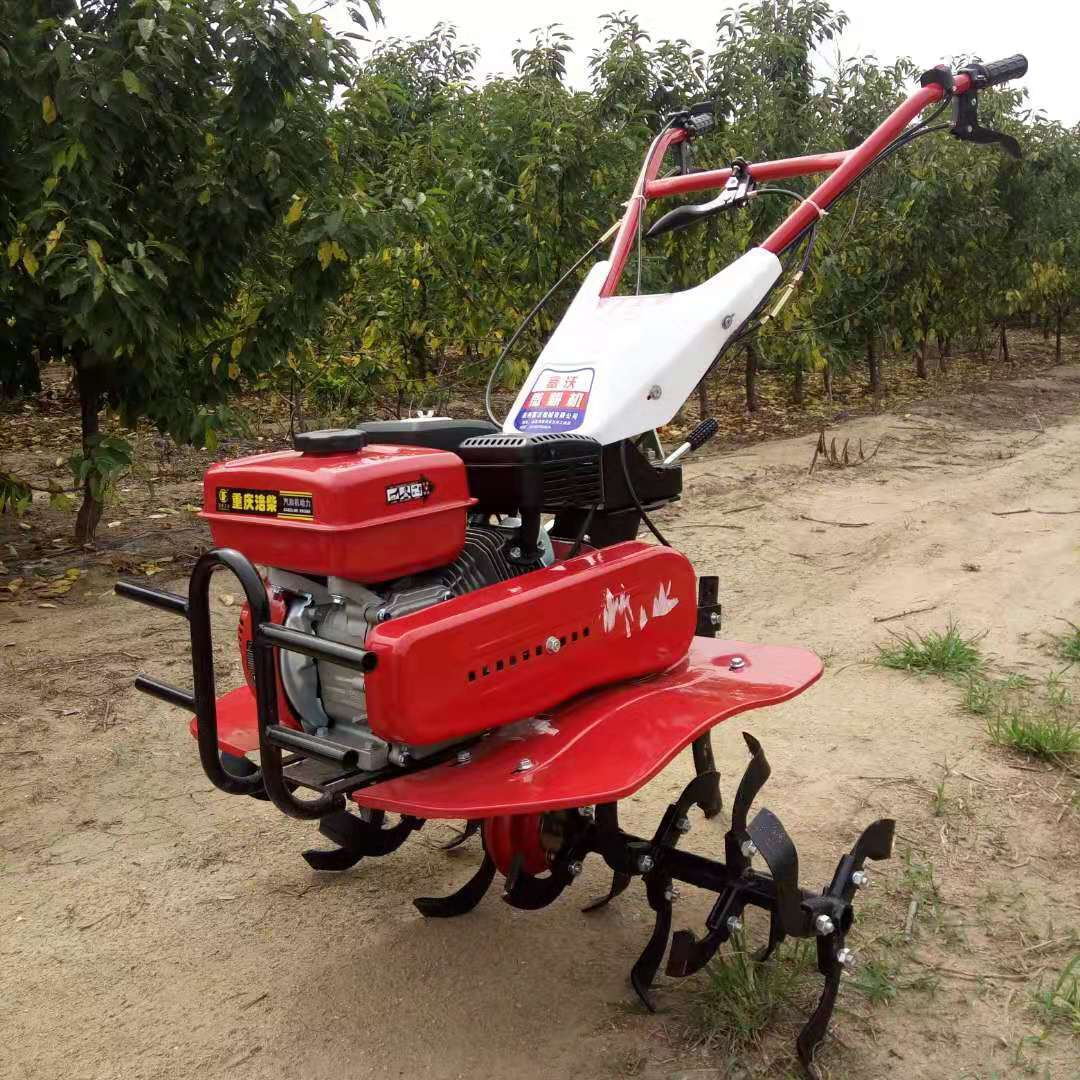 Microcultivador de Alta Produc - Farming And Agriculture Jobs reseña y precio