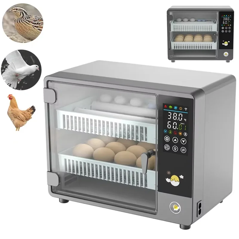 Incubadora de Huevos Automátic - Poultry Incubator reseña y precio