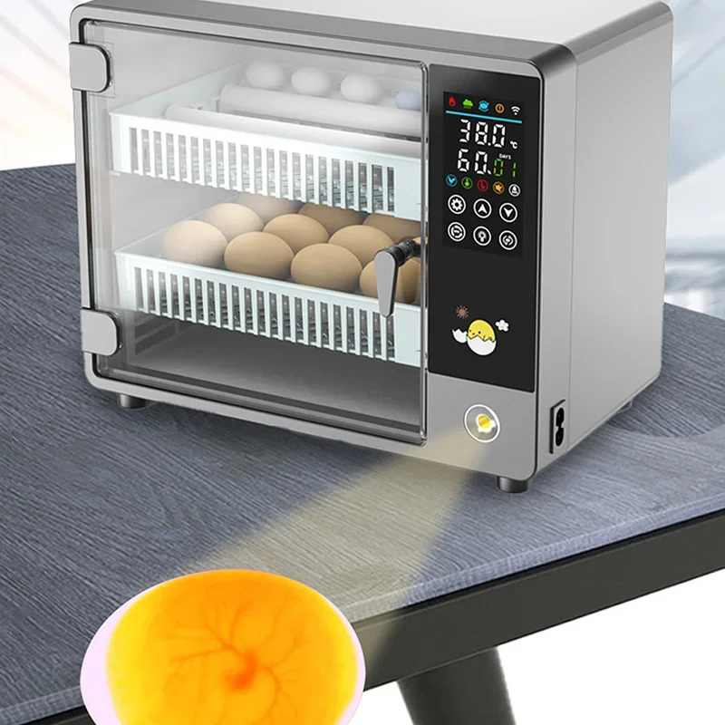 Incubadora de Huevos Automátic - Poultry Incubator reseña y precio