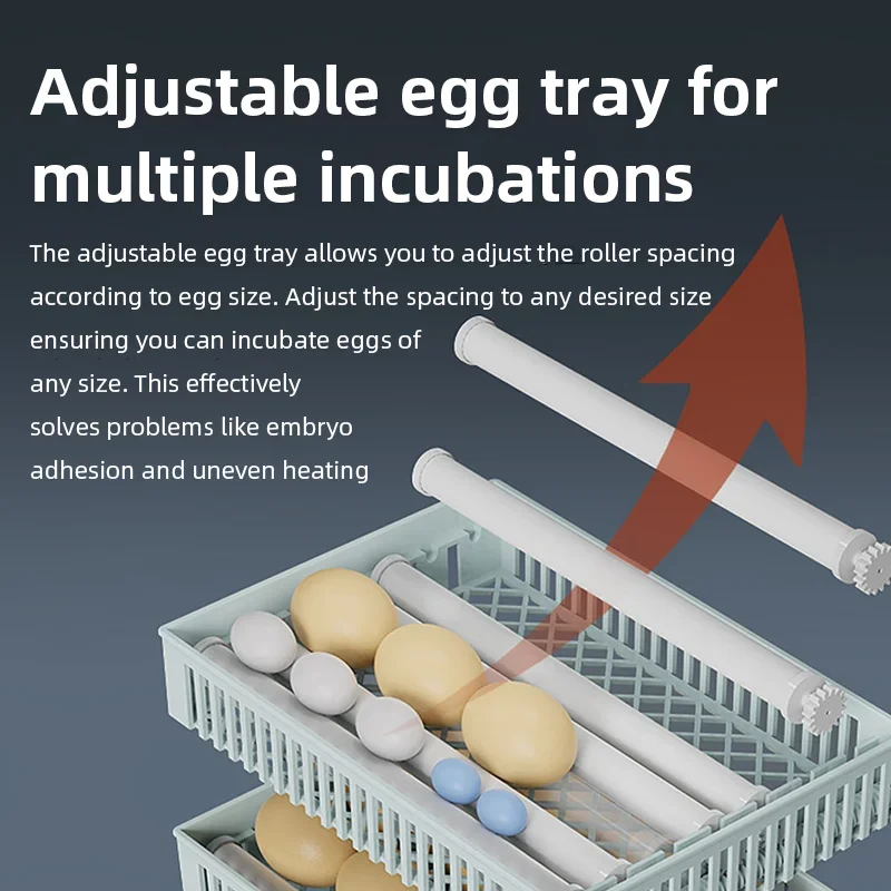 Incubadora de Huevos Automátic - Poultry Incubator reseña y precio