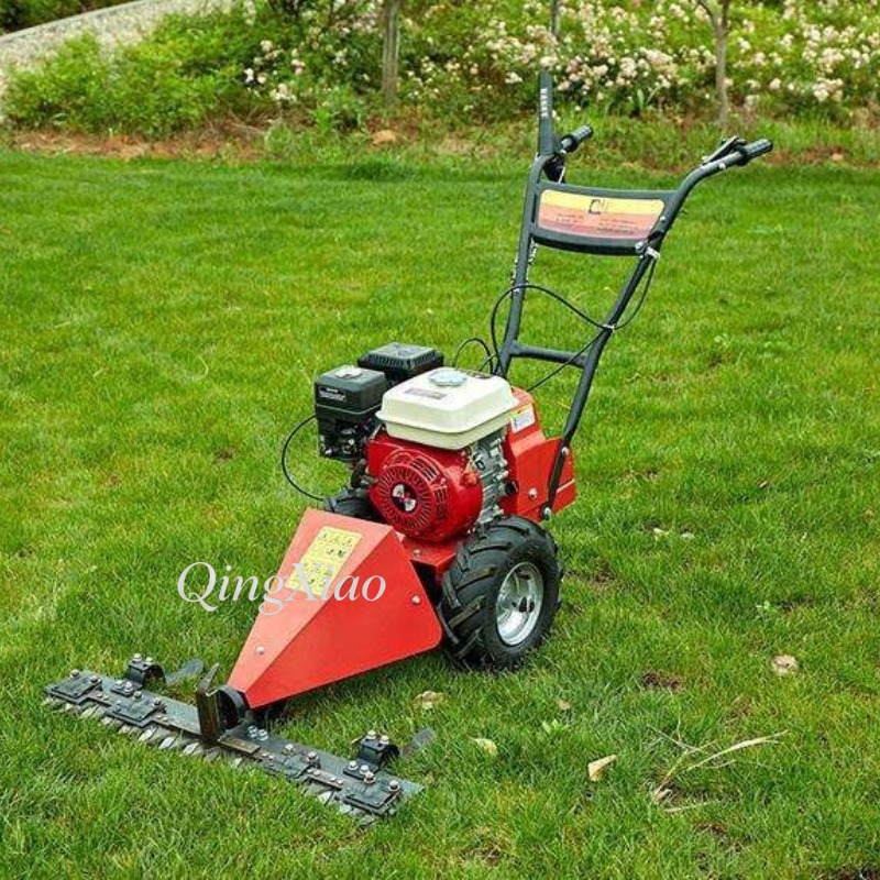 Cortadora de Césped de 6.5Hp y - Farming And Agriculture Jobs reseña y precio