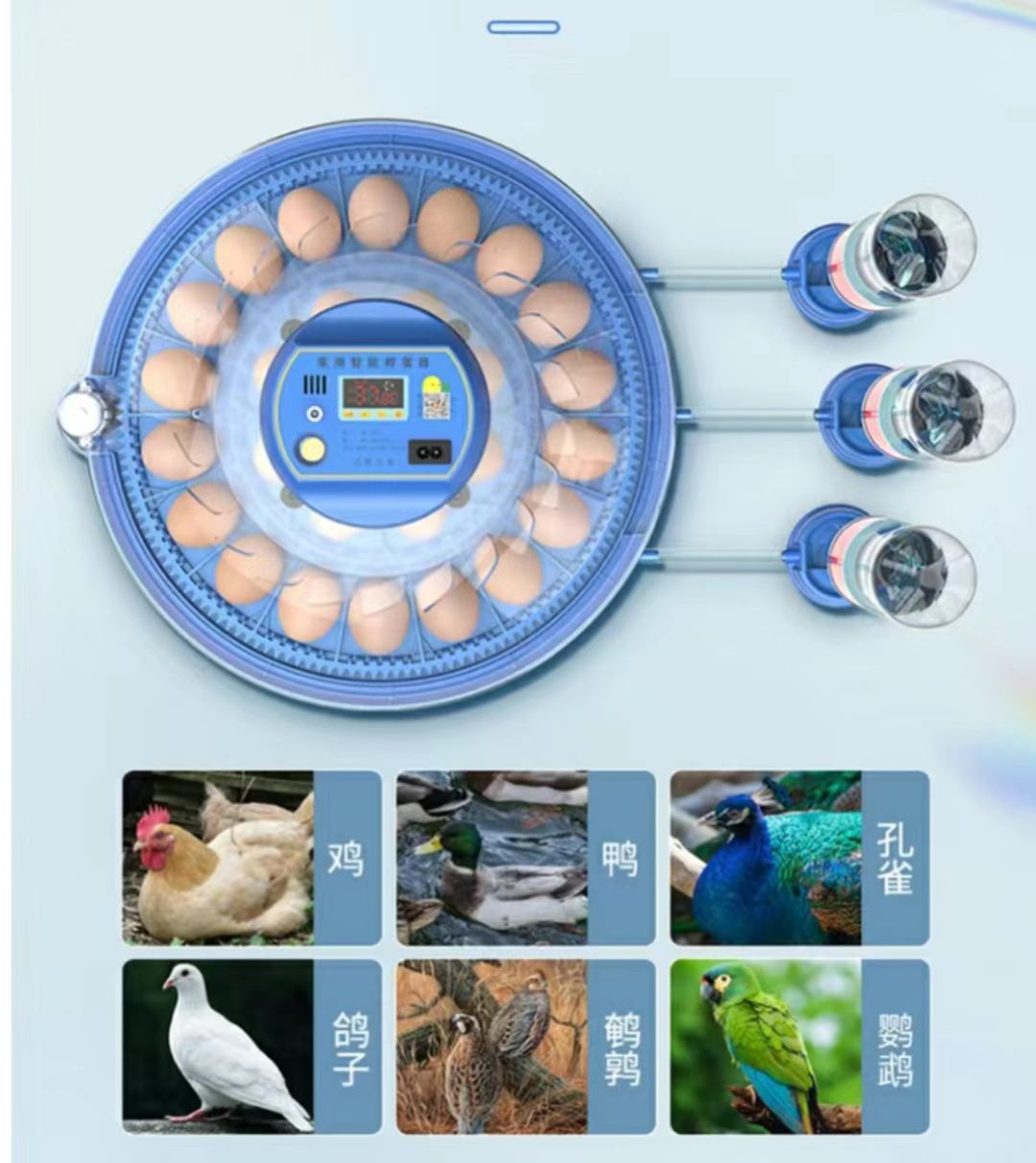 Incubadora de Huevos de Gallin - Poultry Incubator reseña y precio