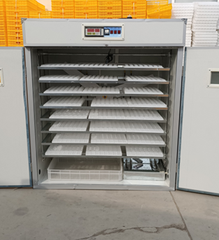 Incubadora de Huevos de Gallin - Poultry Incubator reseña y precio