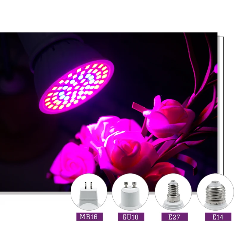 Luz LED de cultivo de espectro - Hydroponic Nft Channel reseña y precio